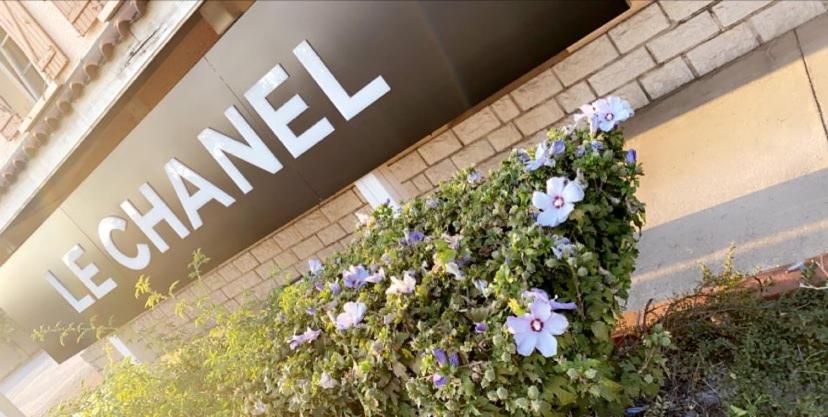 Hotel Restaurant Le Chanel Villieu Bagian luar foto